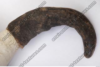 Photo Textures of Skull Antler